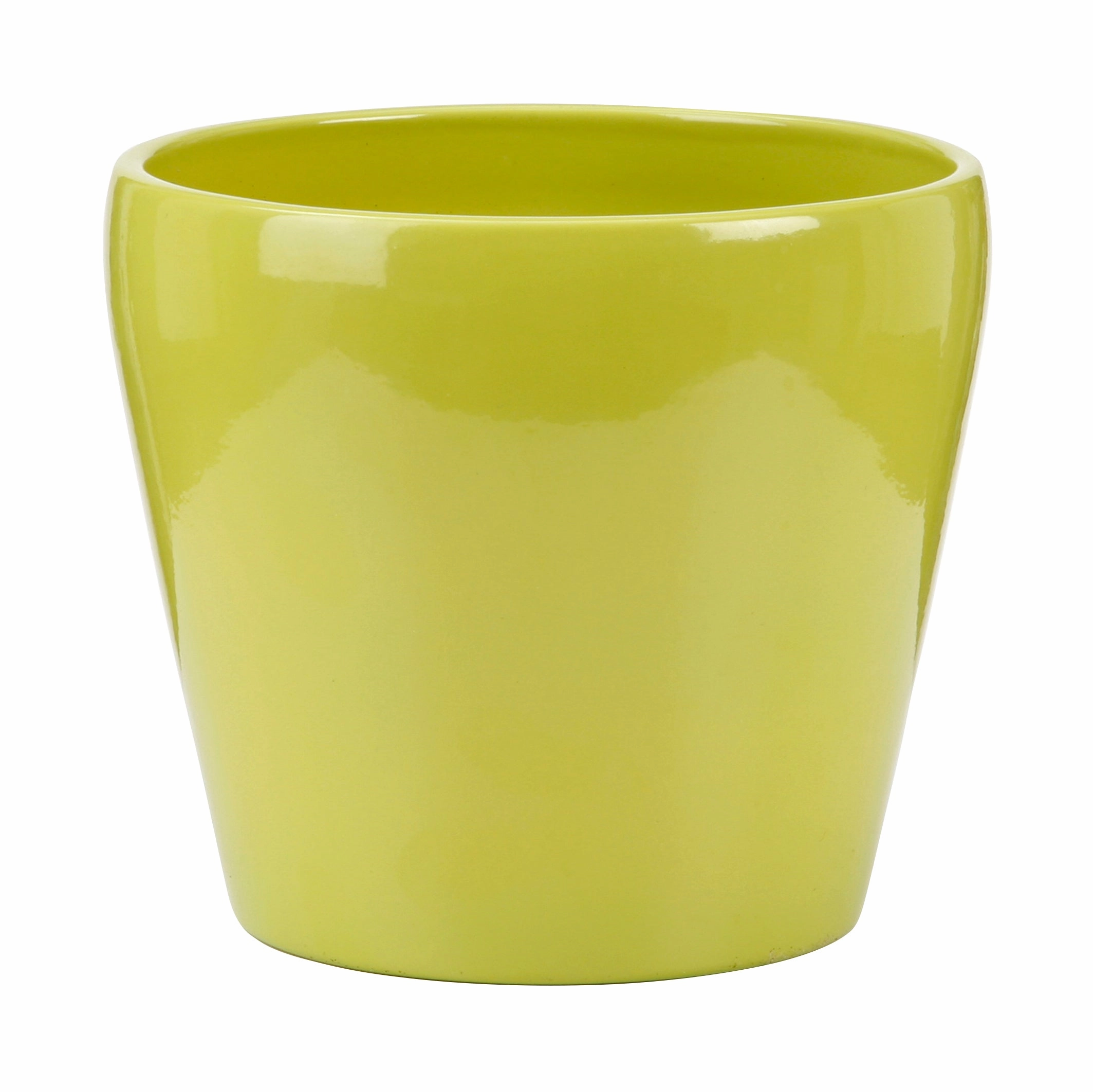Glossy Green Indoor Ceramic Cover Pot Tropical Green (800) tall green plant  
