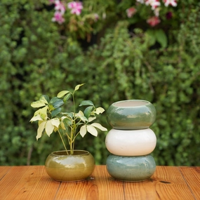 Glosy Round Ceramic Planter, Medium shade perennial  