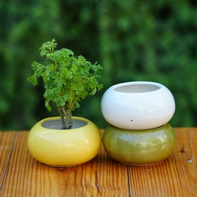 Glosy Round Ceramic Planter, small hanging green plant  