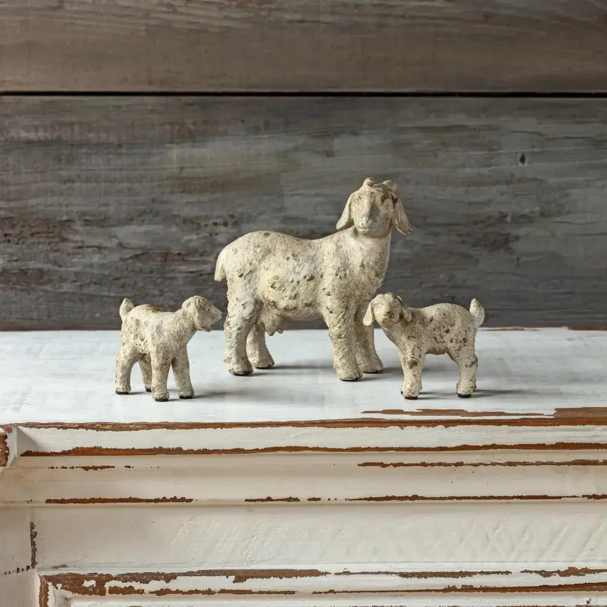 Goat Family Set dried flowers  
