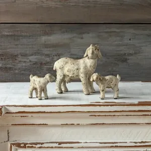 Goat Family Set dried flowers  