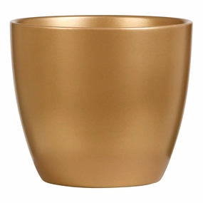 Gold Indoor Ceramic Cover Pot Gold (920) tall green plant  