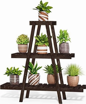 Goretti Triangular Multi-Tiered Mahogany Plant Stand cactus succulent plant  