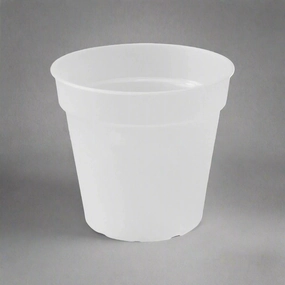 Green Basics Orchid Pot Transparent plant seeds  