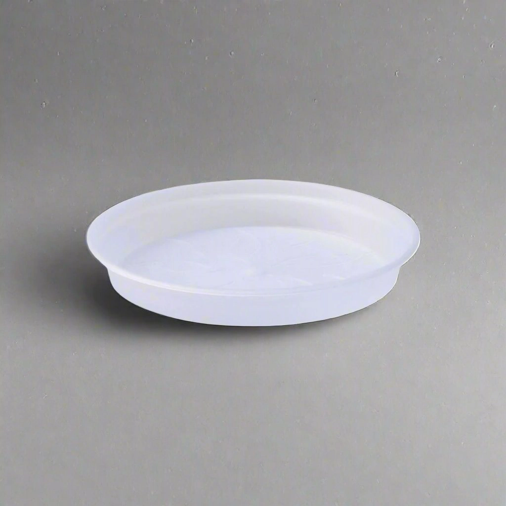 Green Basics Orchid Saucer Transparent plant seeds  