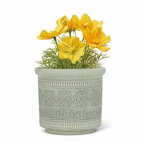 Green Embossed Band Planter - 5"H plant seeds  