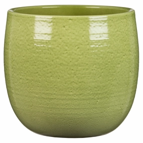Green Indoor Ceramic Cover Pot  Glazing Green (765) tall green plant  