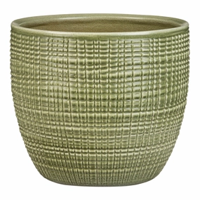 Green Indoor Ceramic Cover Pot Menta (866) tall green plant  