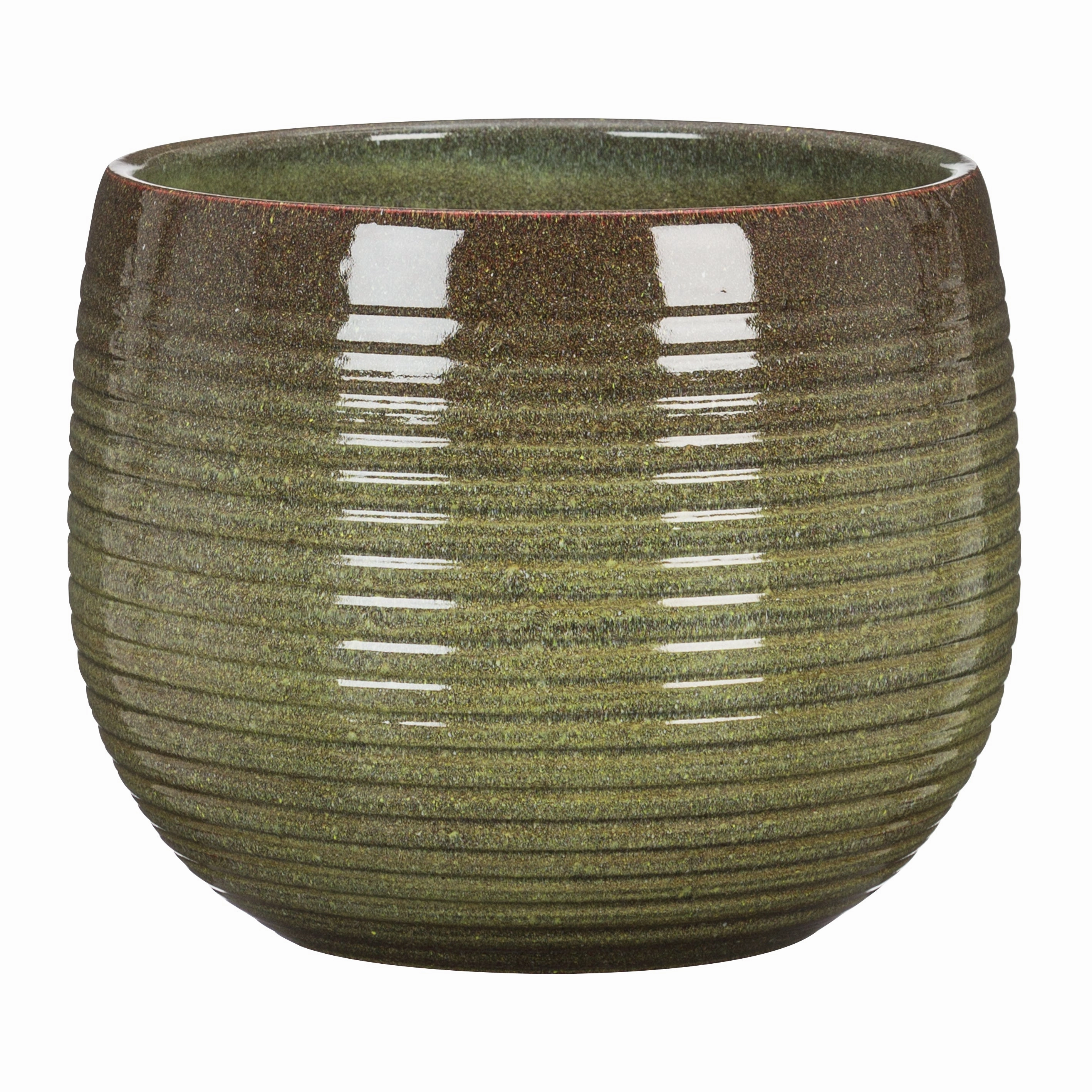 Green Indoor Ceramic Cover Pot Wild Jungle (744) tall green plant  