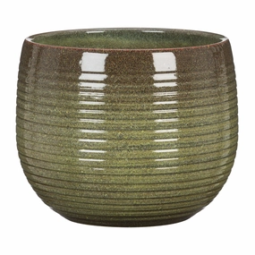 Green Indoor Ceramic Cover Pot Wild Jungle (744) tall green plant  