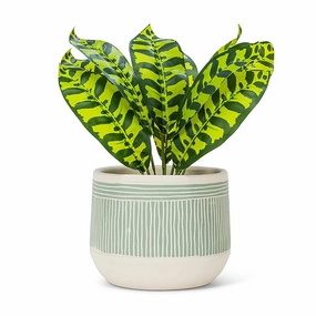 Green Large Etched Planter - 6.5"D plant seeds  