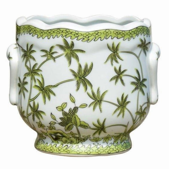 Green Palm Tree on White Porcelain Cachepot plant seeds  