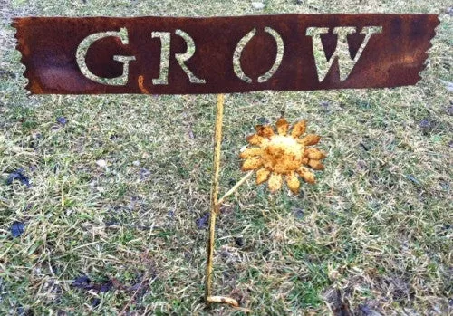 Grow with Small Flower decorative plants  
