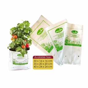 Grow Bag (Pack of 10) desktop planter  