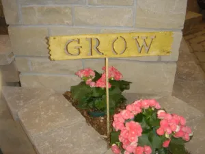 GROW decorative plants  