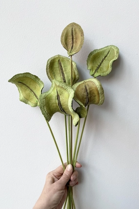 Guatambu Olive Color Preserved Bunch indoor houseplants  