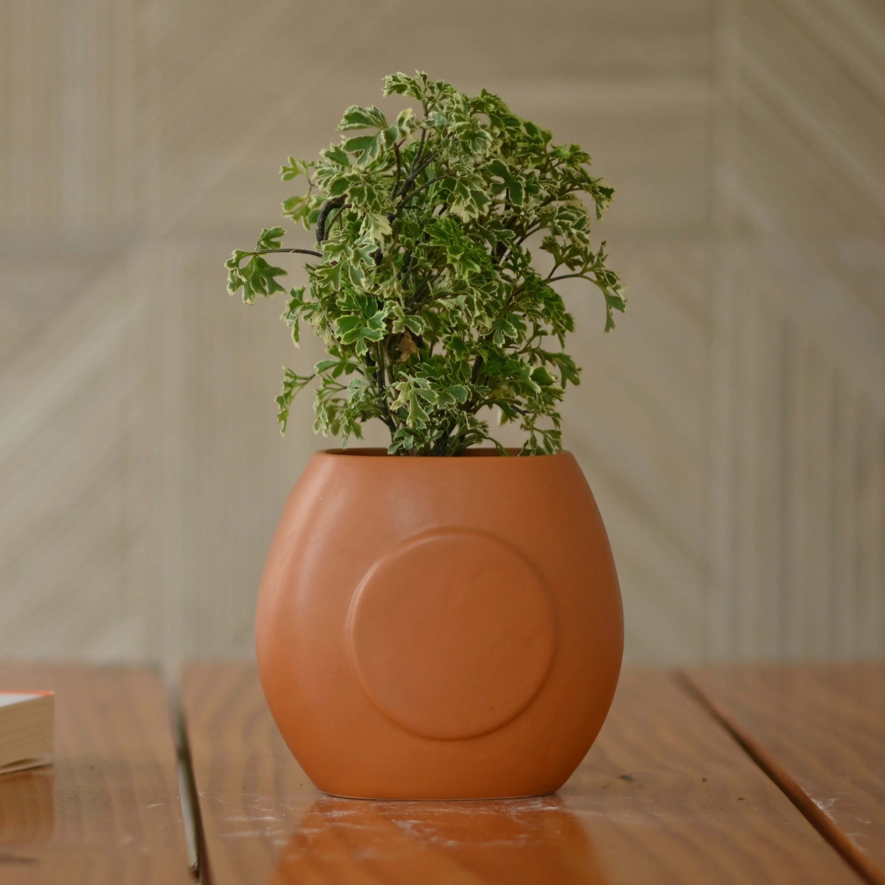 Handcrafted Terracotta Vase/Planter for Plant desktop planter  
