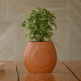 Handcrafted Terracotta Vase/Planter for Plant shade perennial  