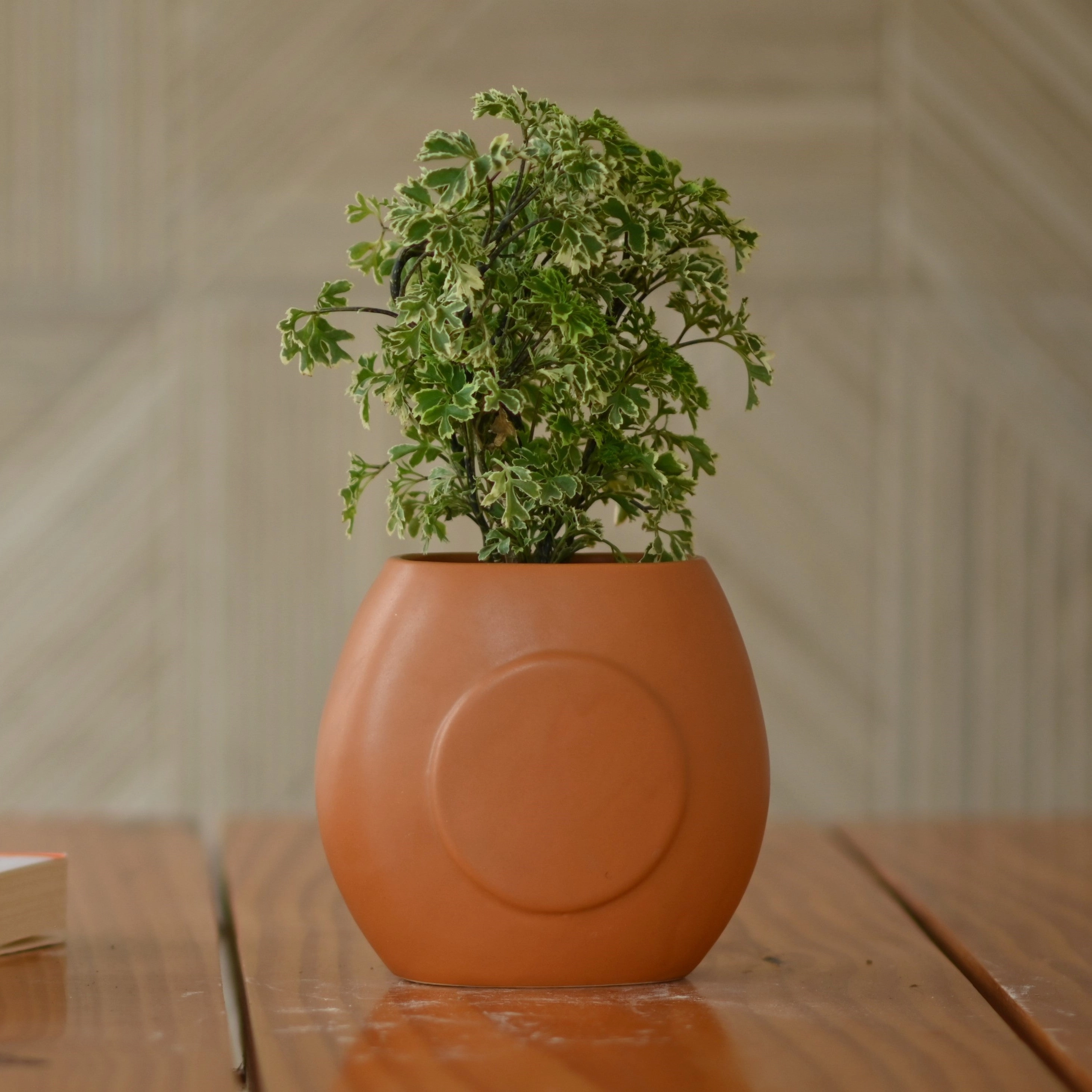 Handcrafted Terracotta Vase/Planter for Plant shade perennial  