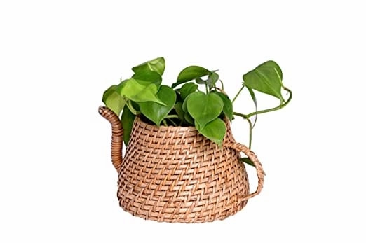 Handmade Natural Cane Kettle Shaped Planter,(25 X 18 X 12 cm)