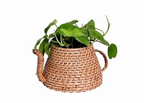 Handmade Natural Cane Kettle Shaped Planter,(25 X 18 X 12 cm) shade perennial  