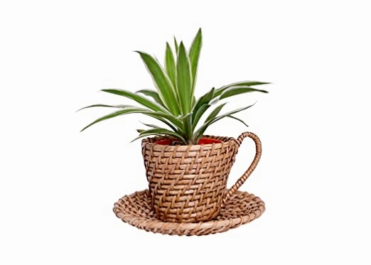 Handmade Natural Cane Planter/Plant Holder (35 X 15 X 42 cm)