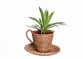 Handmade Natural Cane Planter/Plant Holder (35 X 15 X 42 cm) ceramic planter  