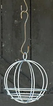 Hanging Globe decorative plants  