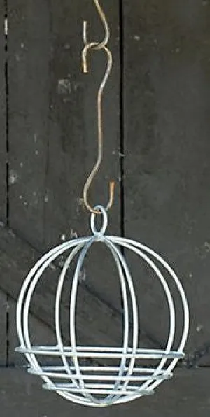 Hanging Globe decorative plants  