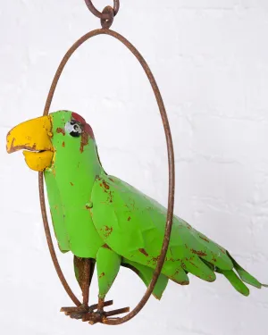 Hanging Parrot decorative plants  