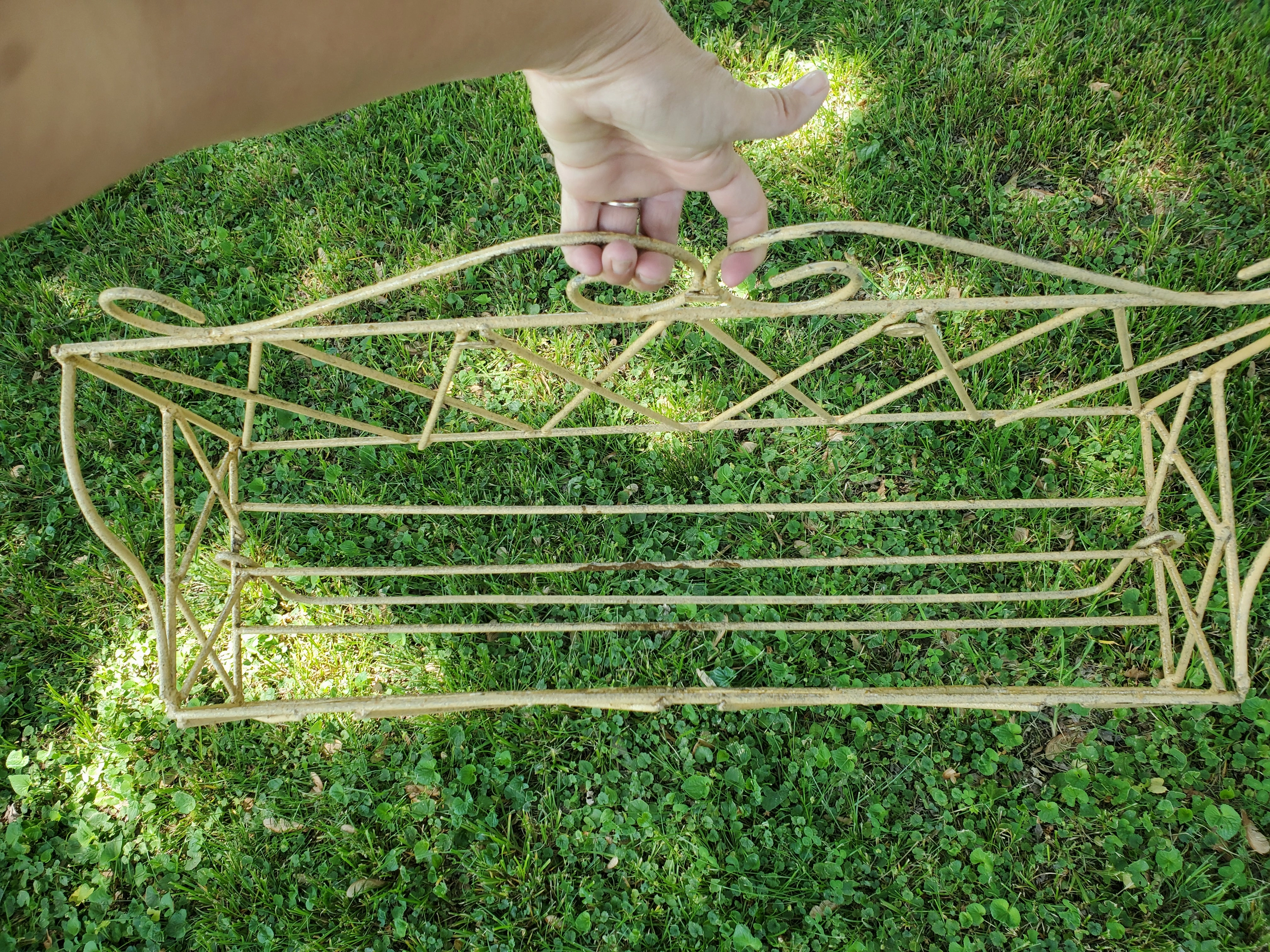 Hanging Basket with wire rod.
