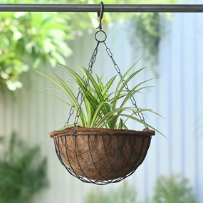 Hanging Coir Basket for Indoor/Outdoor desktop planter  