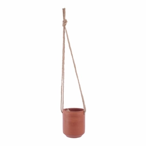 Hanging Planter cactus succulent plant  