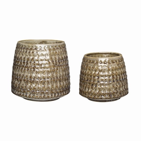 Hbsch Capri Pot Ceramic Beige Set Of 2 dried green plant  