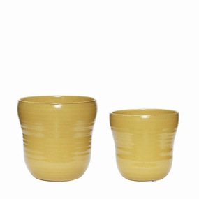 Hbsch Care Pot Ceramic Yellow Set Of 2 dried green plant  