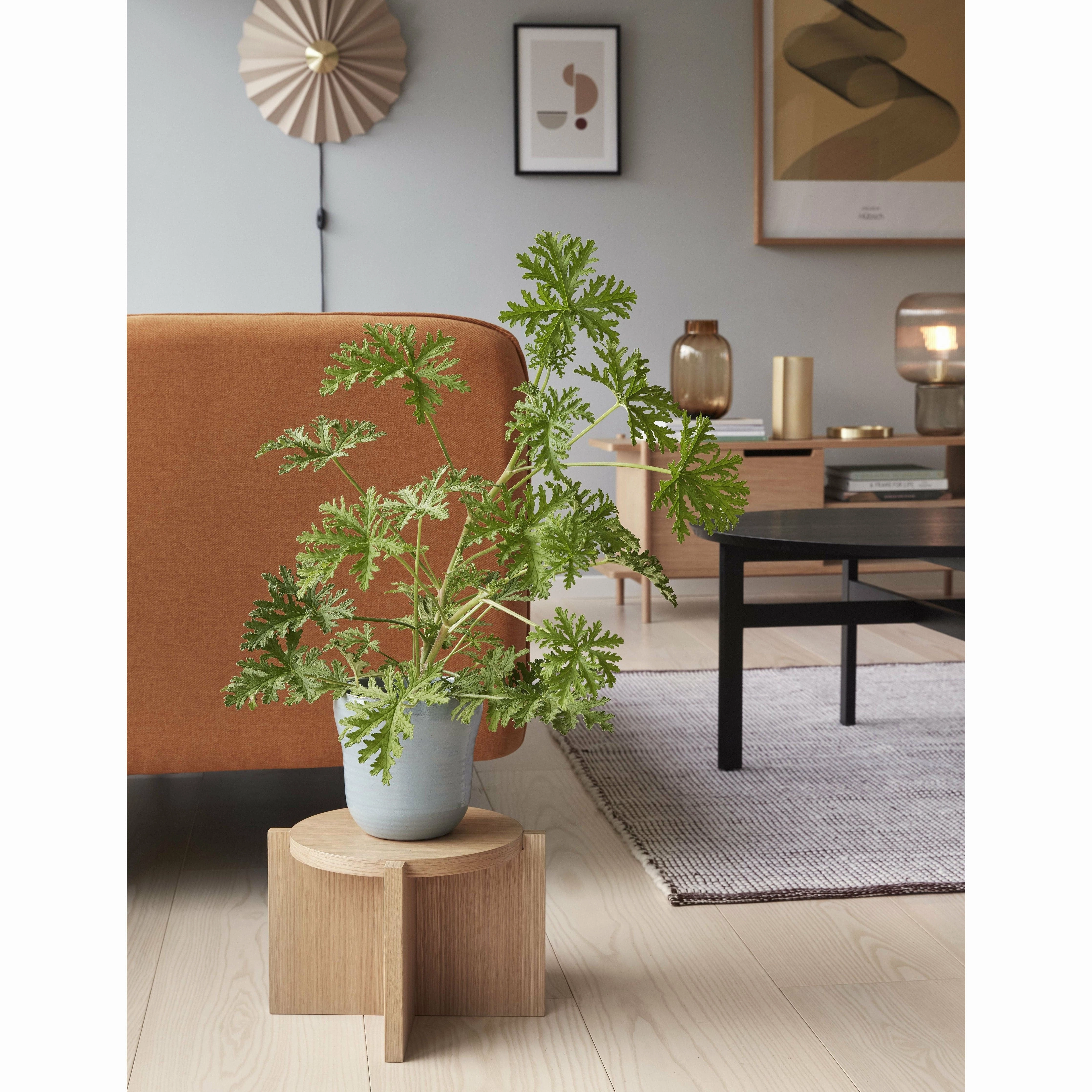 Hbsch Leaf Pots (Set Of 2), Yellow