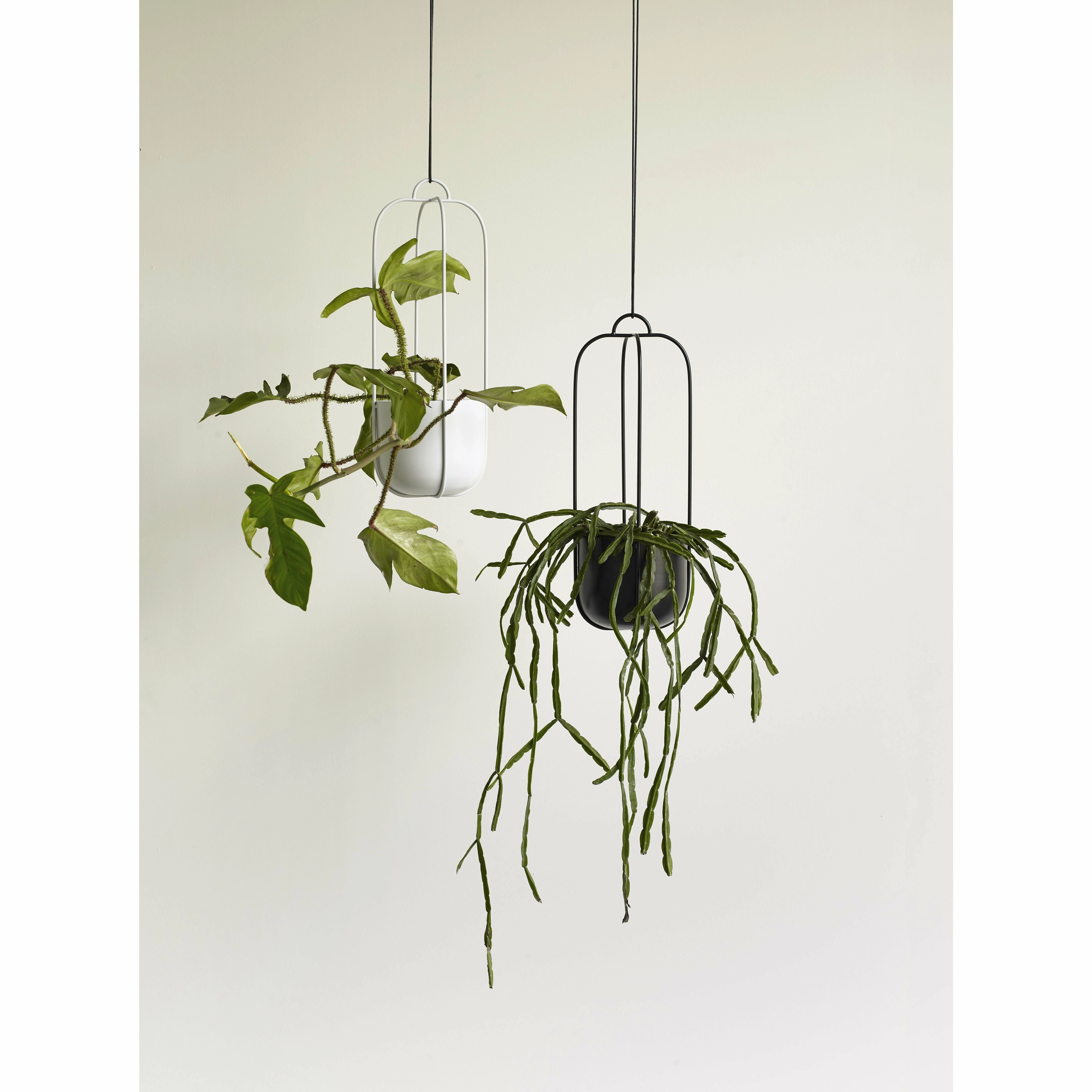 Hbsch Lotus Hanging Pots Set Of 2, Black