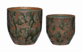 Hbsch Normu Pots Set dried green plant  