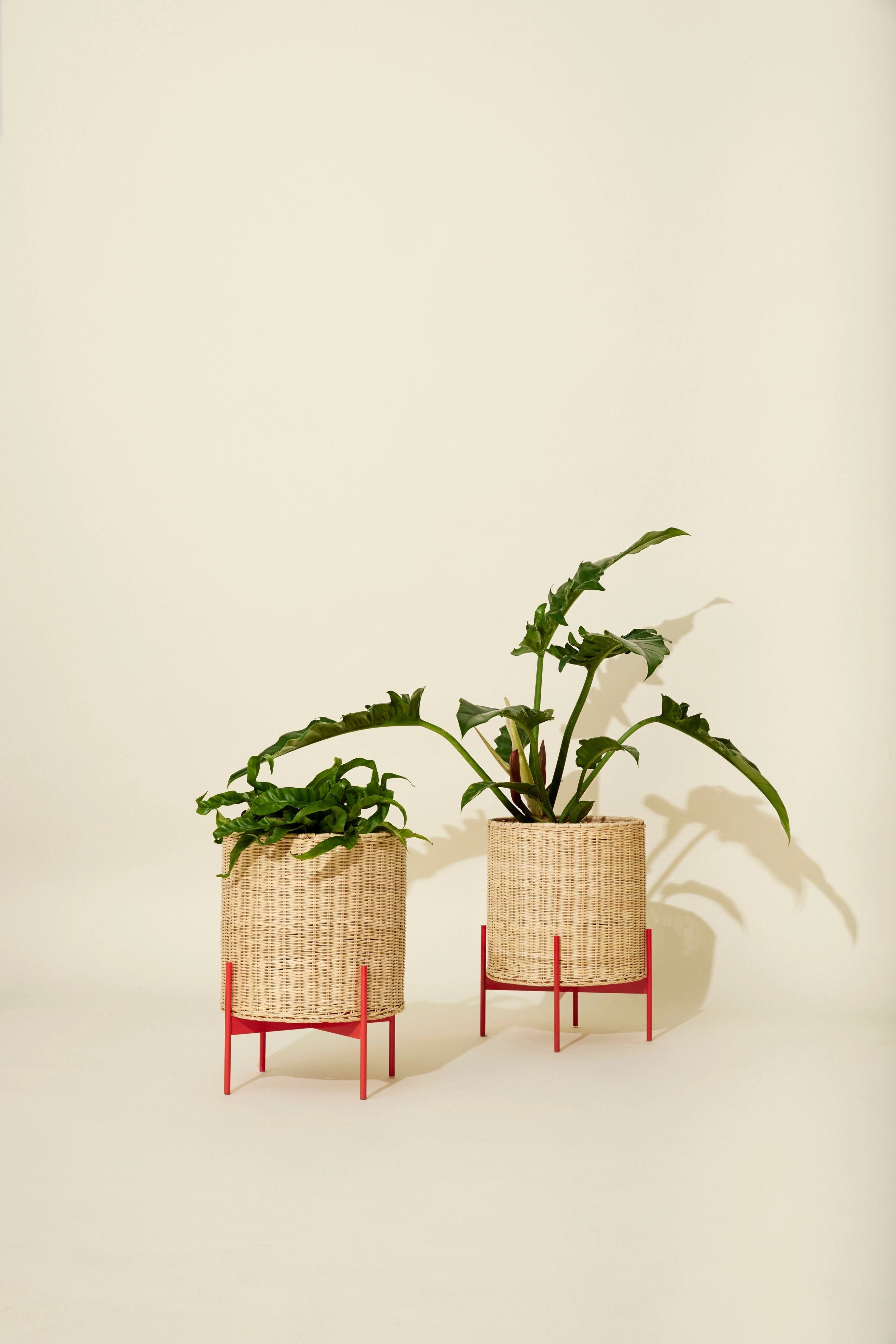 Hbsch Splint Pot Natural/Red