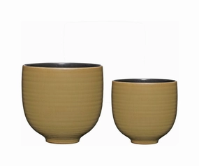 Hbsch Yuka Pots Set dried green plant  