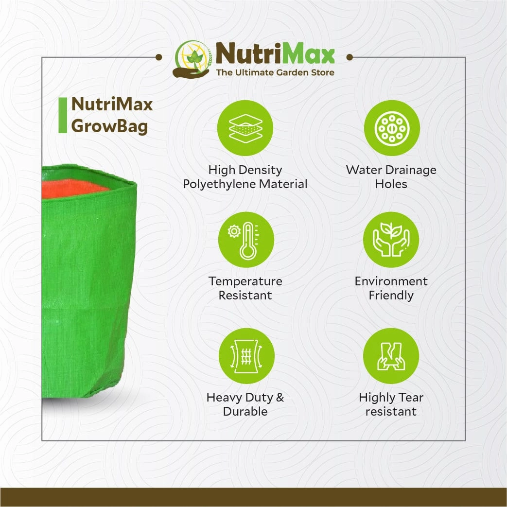 HDPE 200 GSM Growbags 12 inch x 15 inch Outdoor Plant Bag