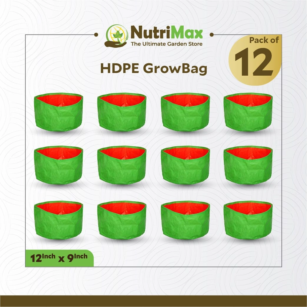 HDPE 200 GSM Growbags 12 inch x 9 inch Outdoor Plant Bag