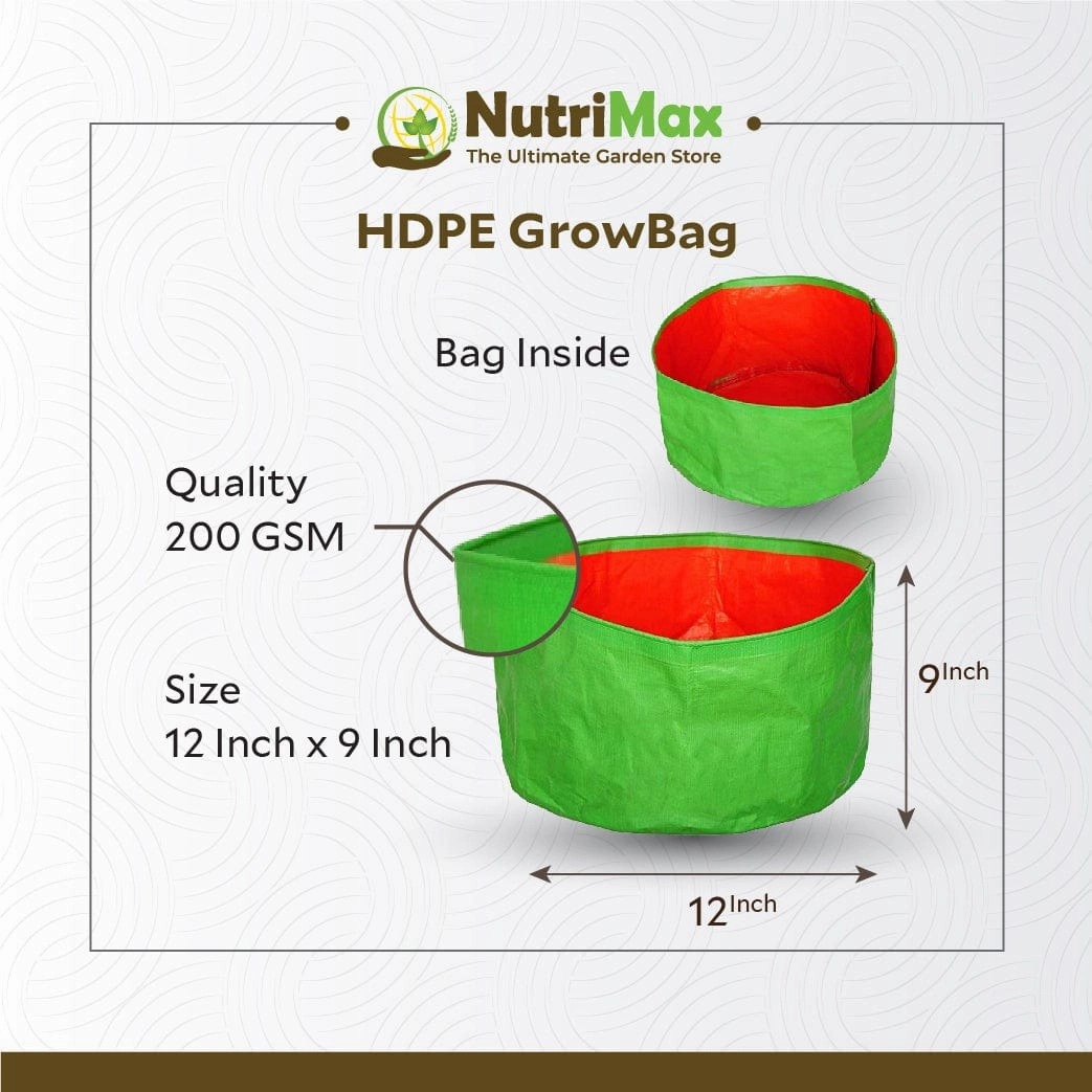 HDPE 200 GSM Growbags 12 inch x 9 inch Outdoor Plant Bag
