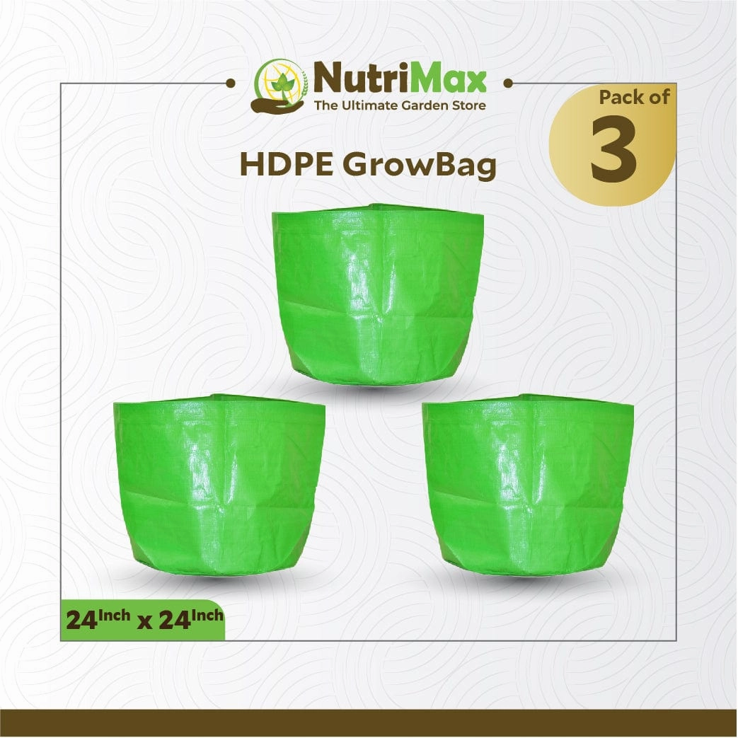 HDPE 200 GSM Growbags 24 inch x 24 inch Outdoor Plant Bag