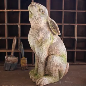 Heads Up Faux Concrete Rabbit dried flowers  