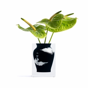 Henry - Bud Vase Black Marble mini ornamental plant  