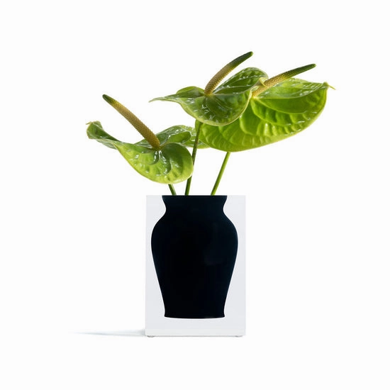 Henry - Bud Vase Soho Black mini ornamental plant  