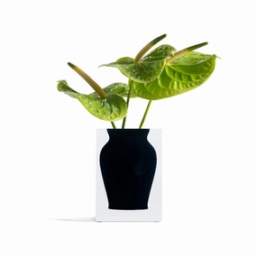 Henry - Bud Vase Soho Black mini ornamental plant  