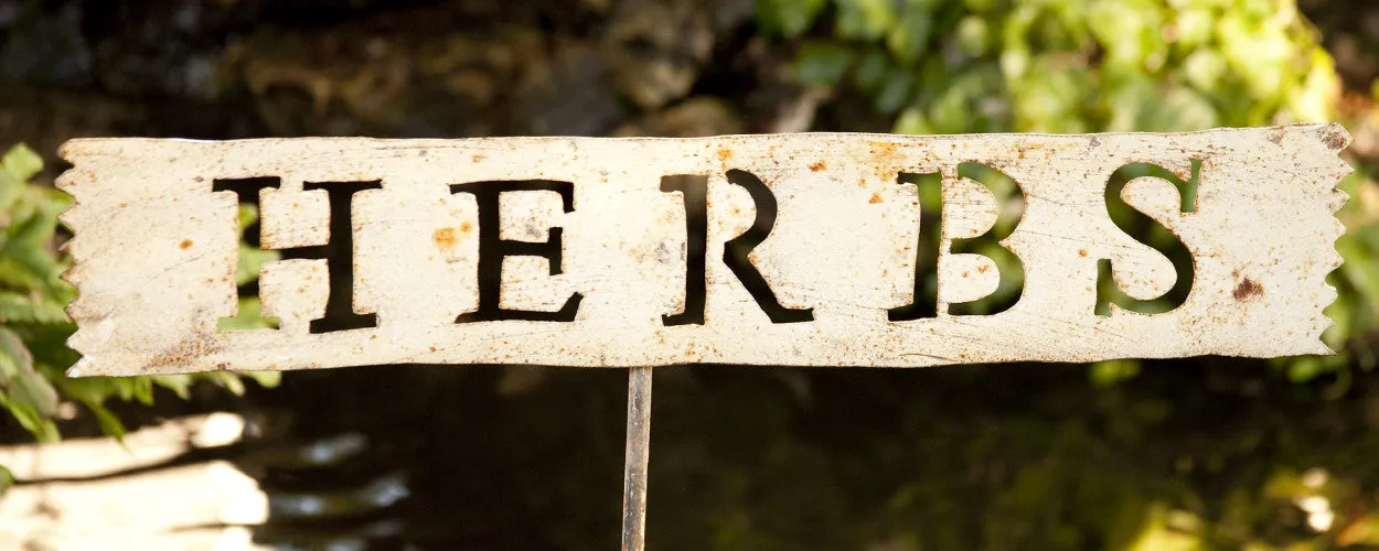HERBS SIGN decorative plants  