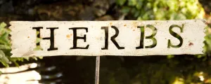 HERBS SIGN decorative plants  